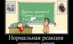 Нормальная реакция