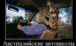 Австралийские автошколы